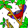 Fly and bird on the tree coloring Game.