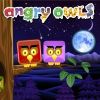 Angry Owls A Free Action Game