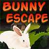 Bunny Escape A Free Puzzles Game