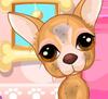 Chihuahua Caring A Free Dress-Up Game
