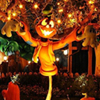 Jack O Lantern Difference A Free Puzzles Game