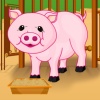 Baby Piggy Care A Free Puzzles Game