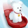 It`s a slippery slope for these cute little pets: the more they sled, the more Christmas presents they get!