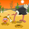 Beat The Ostrich A Free Strategy Game