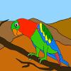 Paint this Lovely Parrot with your favorite colors.  You may choose any color from a palette of paints.