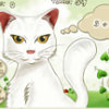 Cat math A Free Education Game