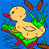 Little duck in the river coloring A Free Customize Game