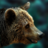 Bear Escape A Free Adventure Game