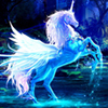 Hidden Stars Pegasus A Free Puzzles Game