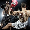 Boxing Hidden Letters A Free Puzzles Game