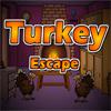 Turkey Escape