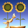 Sunflow A Free Action Game