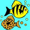 Fish coloring A Free Customize Game