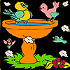 Little birds on the bath coloring