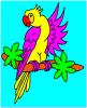 parrot coloring