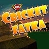 Cricket Fatka A Free Sports Game