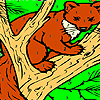 Fox on the tree coloring