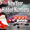 New Year Hidden Numbers A Free Other Game