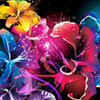 Find the Spot-Flowers A Free Puzzles Game