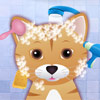 Kitty Grooming Salon A Free Other Game