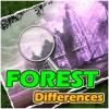 Forest Differences A Free BoardGame Game