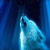 play Howling wolf puzzle and complete puzzle and get happy time
