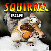 Ena Squirrel Escape