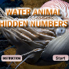 wateranimal hidden number
