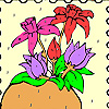 Flowers on the frame coloring