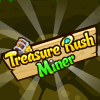 Treasure rush miner