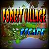 Forest Village Escape