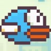 Flappy Fowl A Free Adventure Game