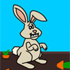 Bunny Jump A Free Action Game