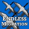 Endless Migration A Free Action Game