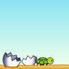 Turtle Run A Free Puzzles Game