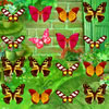 Butterfly Match A Free Puzzles Game