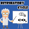 Respiratory Cycle A Free Action Game