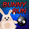 Bunny Run A Free Action Game