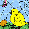 Chick And egg coloring A Free Customize Game