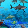 Underwater Fish Hidden Objects A Free Puzzles Game