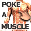 Poke-A-Muscle A Free Sports Game