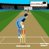 Cricket-Master Blaster A Free Sports Game