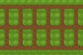 The puzzle