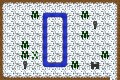path 6