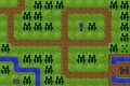 Twisted Forest Path