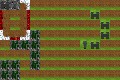 ha ha Tower Defense